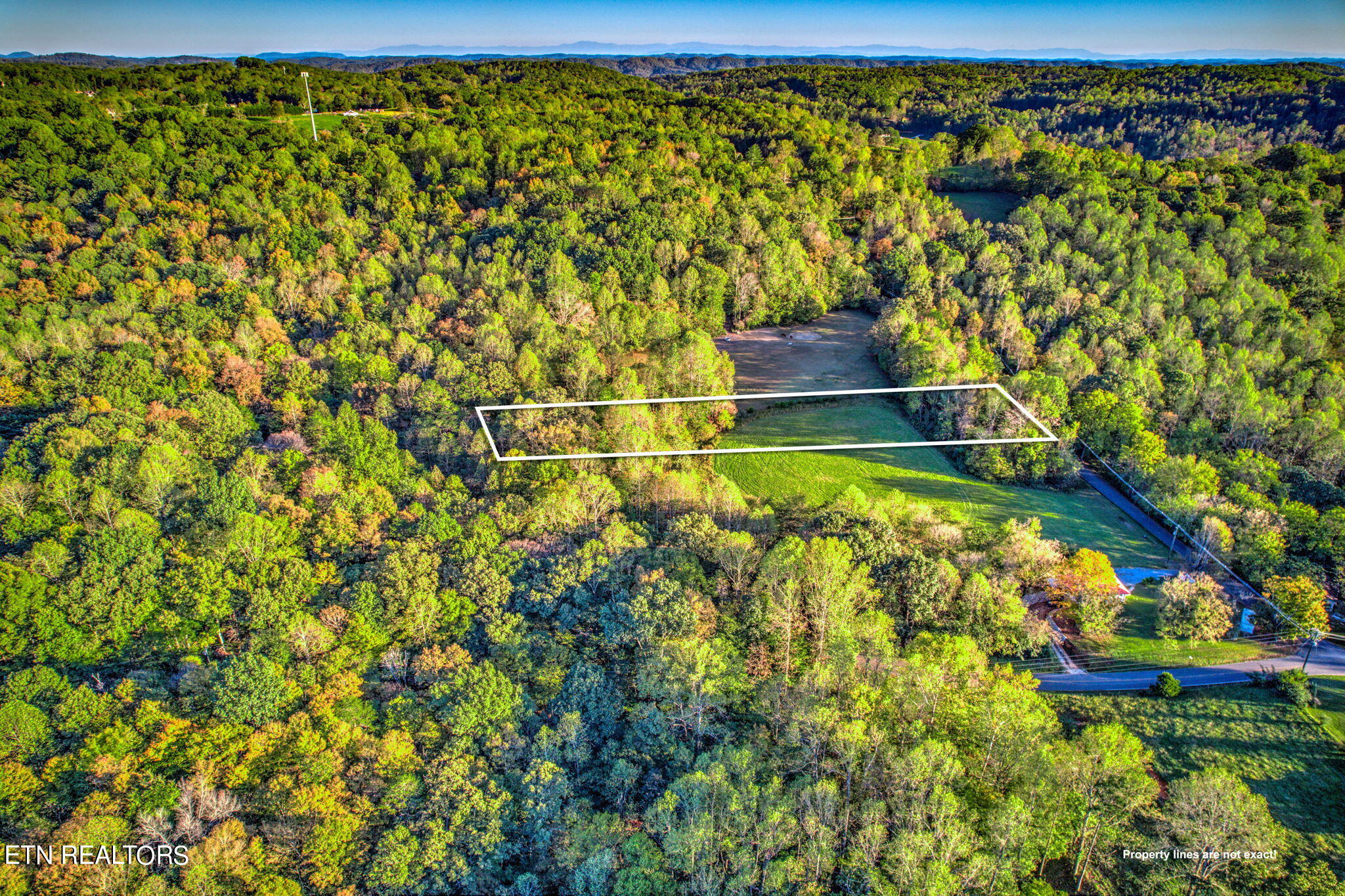 Ridge Circle Road Andersonville, TN 37705 - Photo 4 of 10 4-web-or-mls-10.9