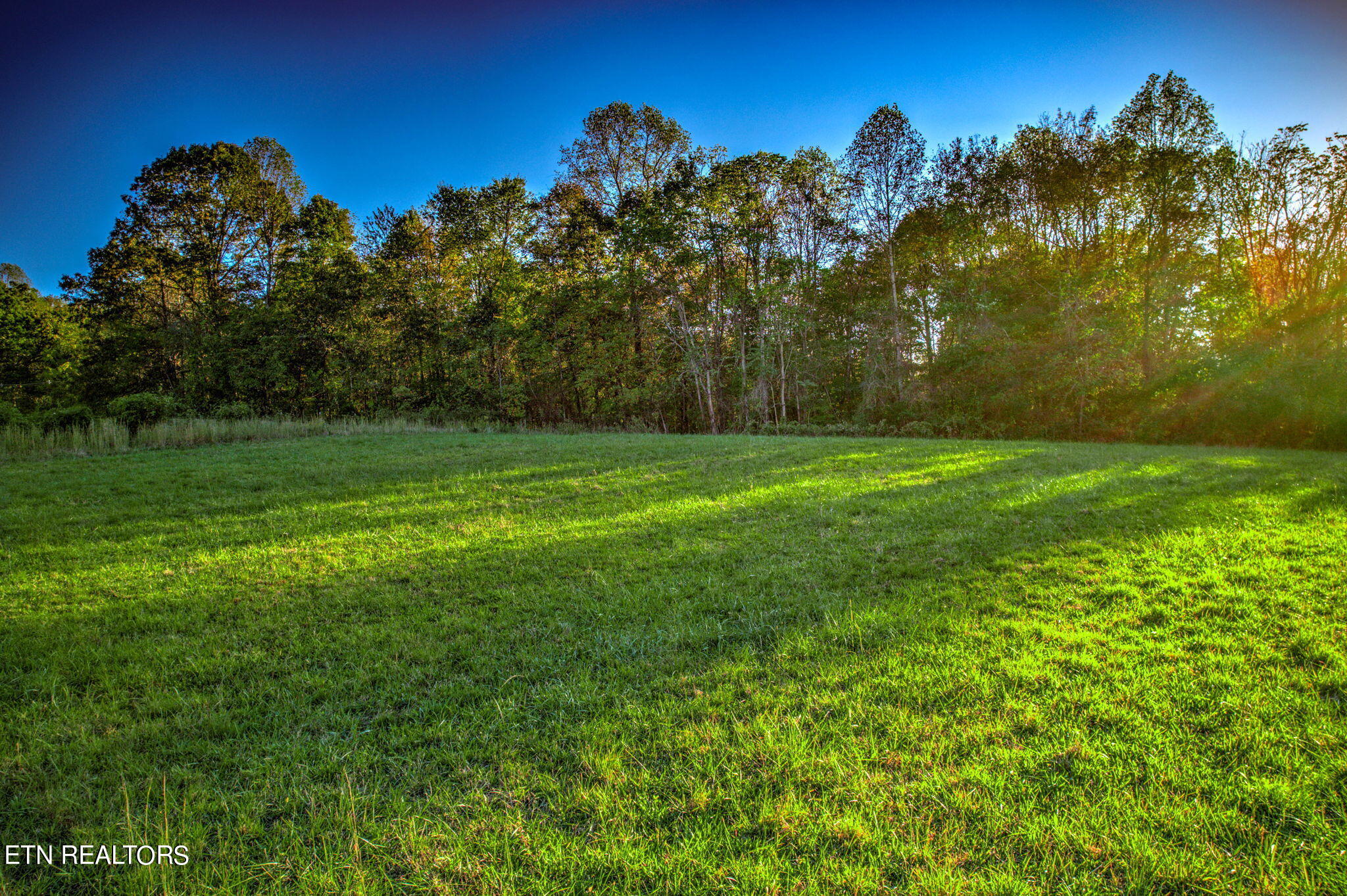 Ridge Circle Road Andersonville, TN 37705 - Photo 10 of 10 10-web-or-mls-10.11