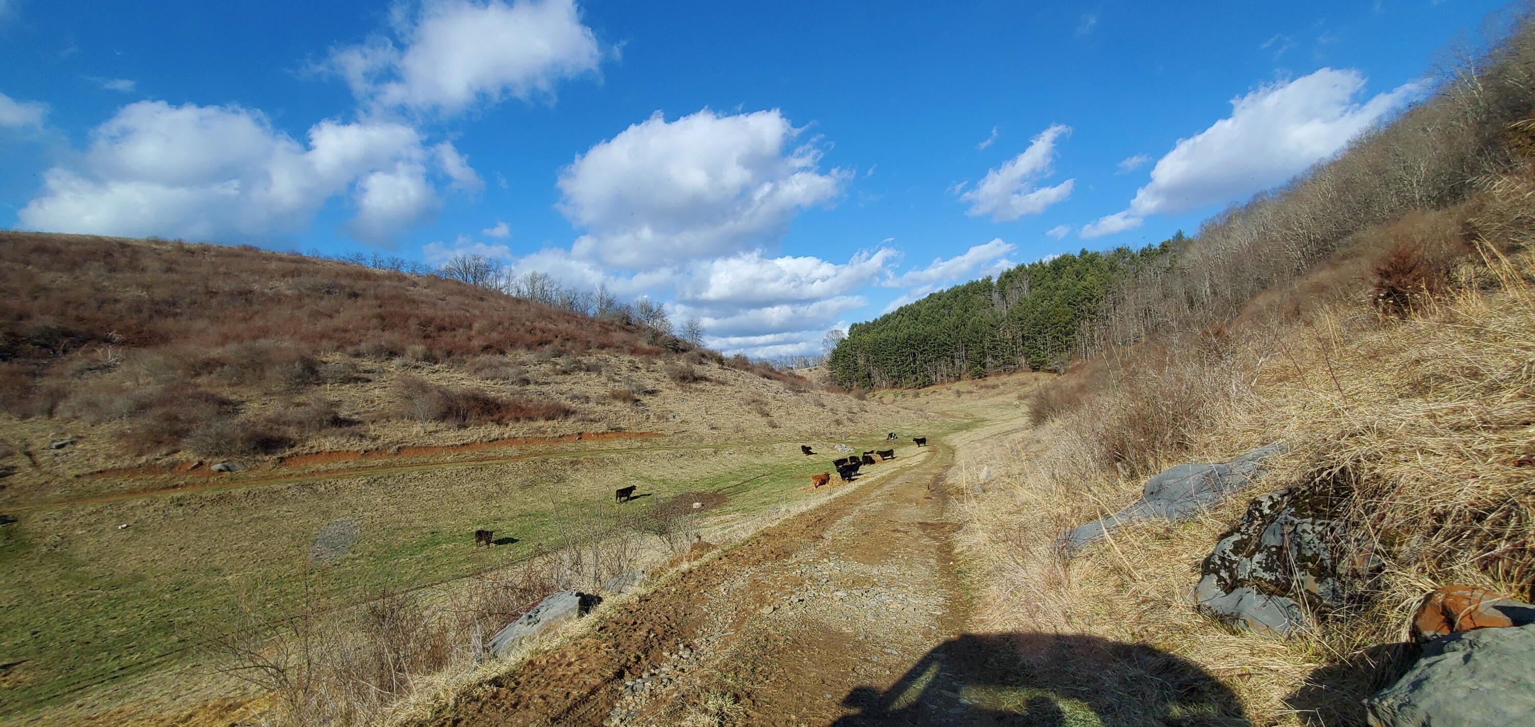 Davis Stuart Road Lewisburg, WV 24901 - Photo 20 of 72 Gallery Image 20