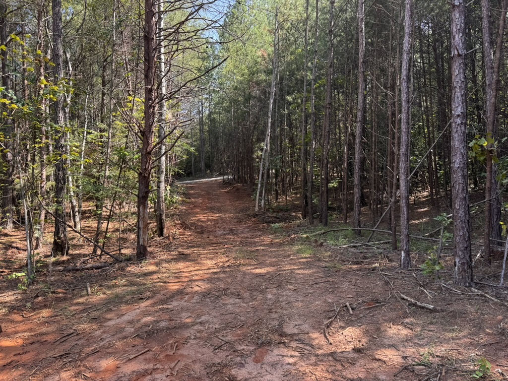 0 Dixon Road, Unit TRACT 3 Westminster, SC 29693 - Photo 3 of 7 Mature trees surround a cleared dirt pathway winding through this secluded woodland acreage.