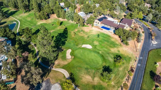 a view of a city with lush green forest