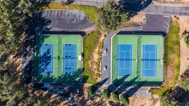a view of a house with a plants and a tree