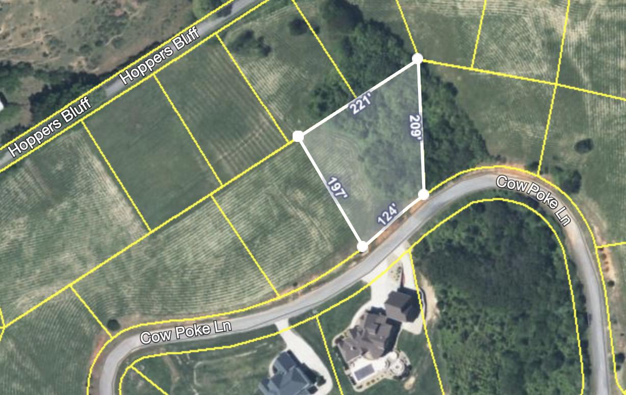 Shiloh Springs Street Rutledge, TN 37861 - Photo 2 of 2 Screen Shot 2021-04-30 at 5.46.21 PM