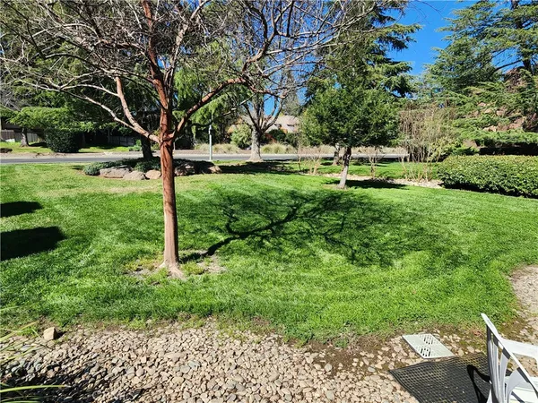 a view of a park with large trees