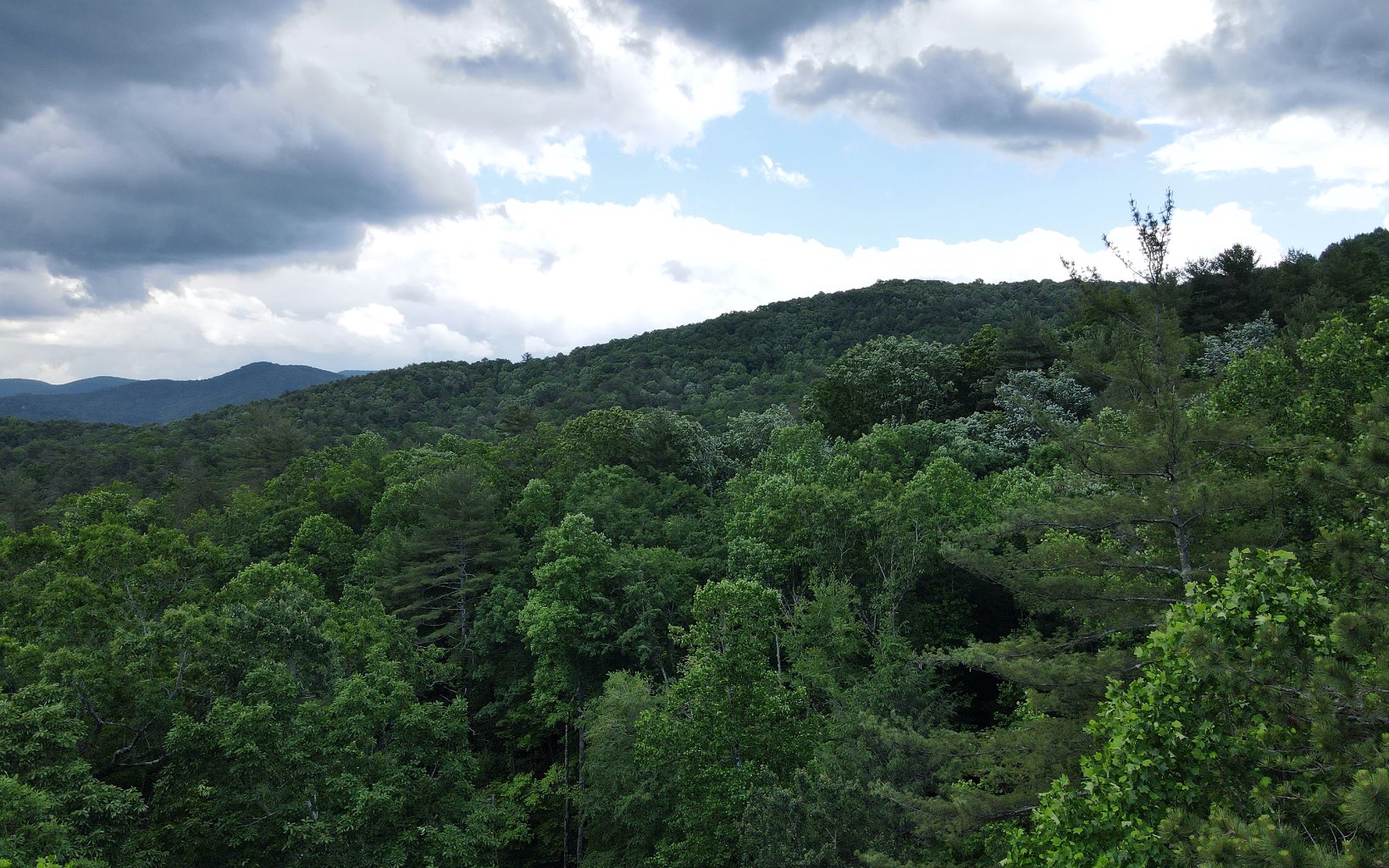 2 Cindy Cove Road Blairsville, GA 30512 - Photo 11 of 20 Additional View