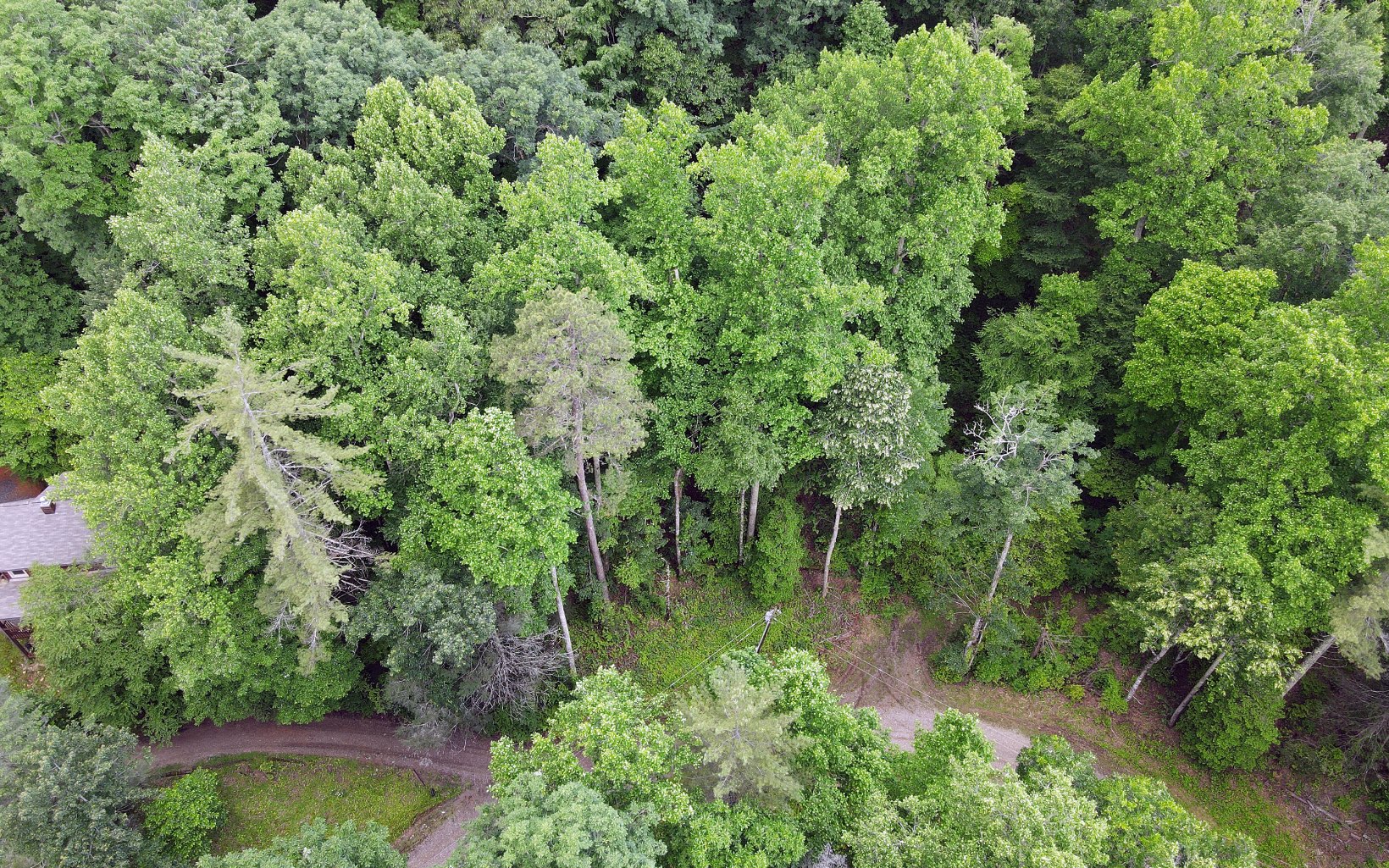 2 Cindy Cove Road Blairsville, GA 30512 - Photo 12 of 20 Additional View