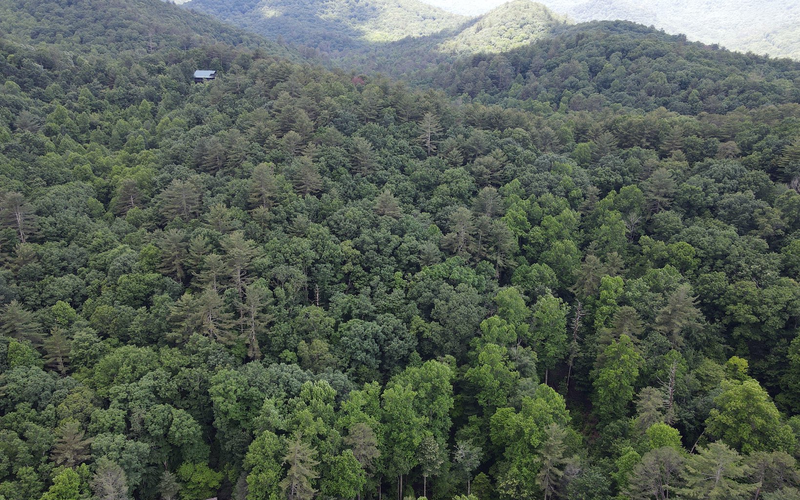 2 Cindy Cove Road Blairsville, GA 30512 - Photo 17 of 20 Additional View