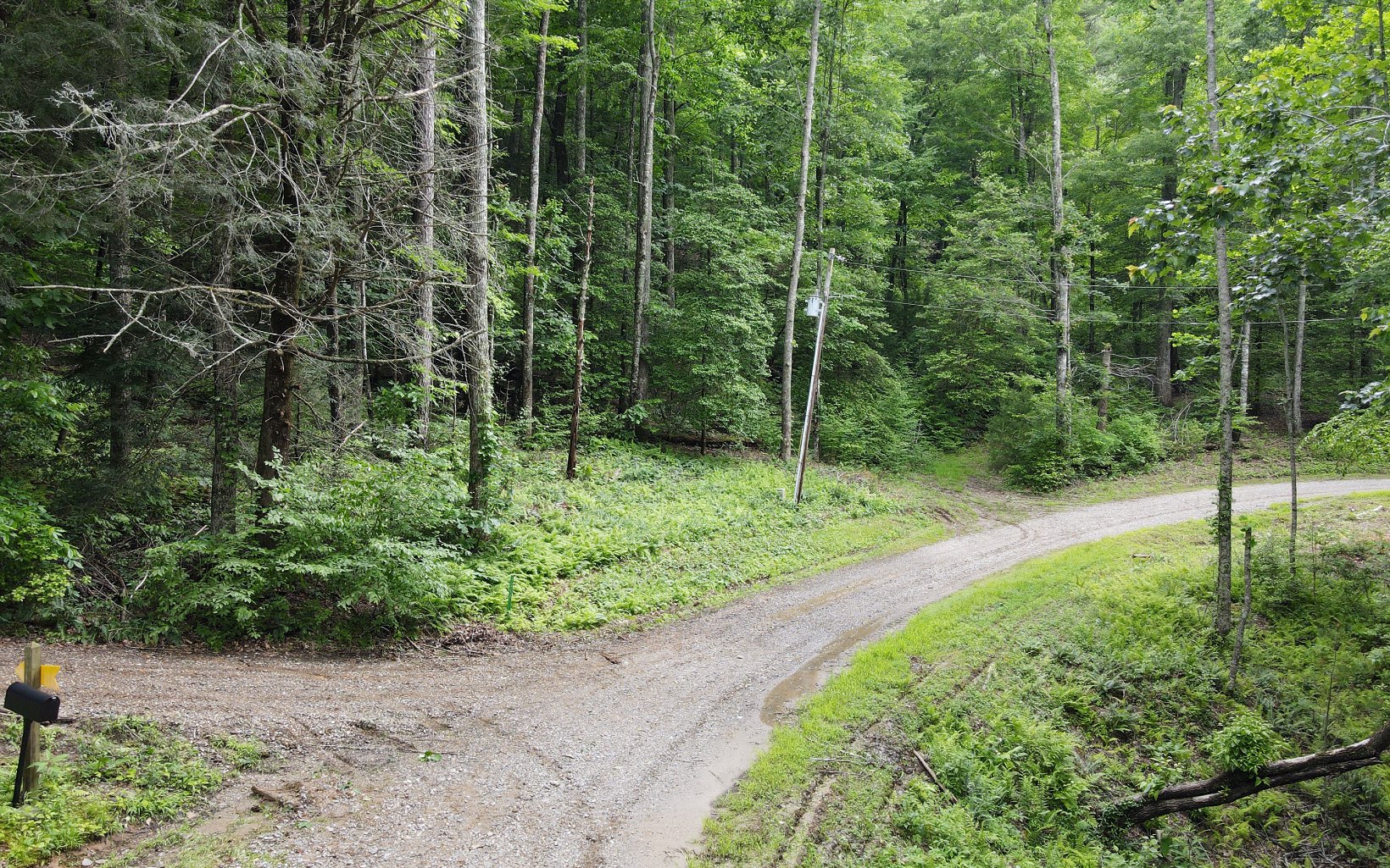 2 Cindy Cove Road Blairsville, GA 30512 - Photo 3 of 20 Additional View