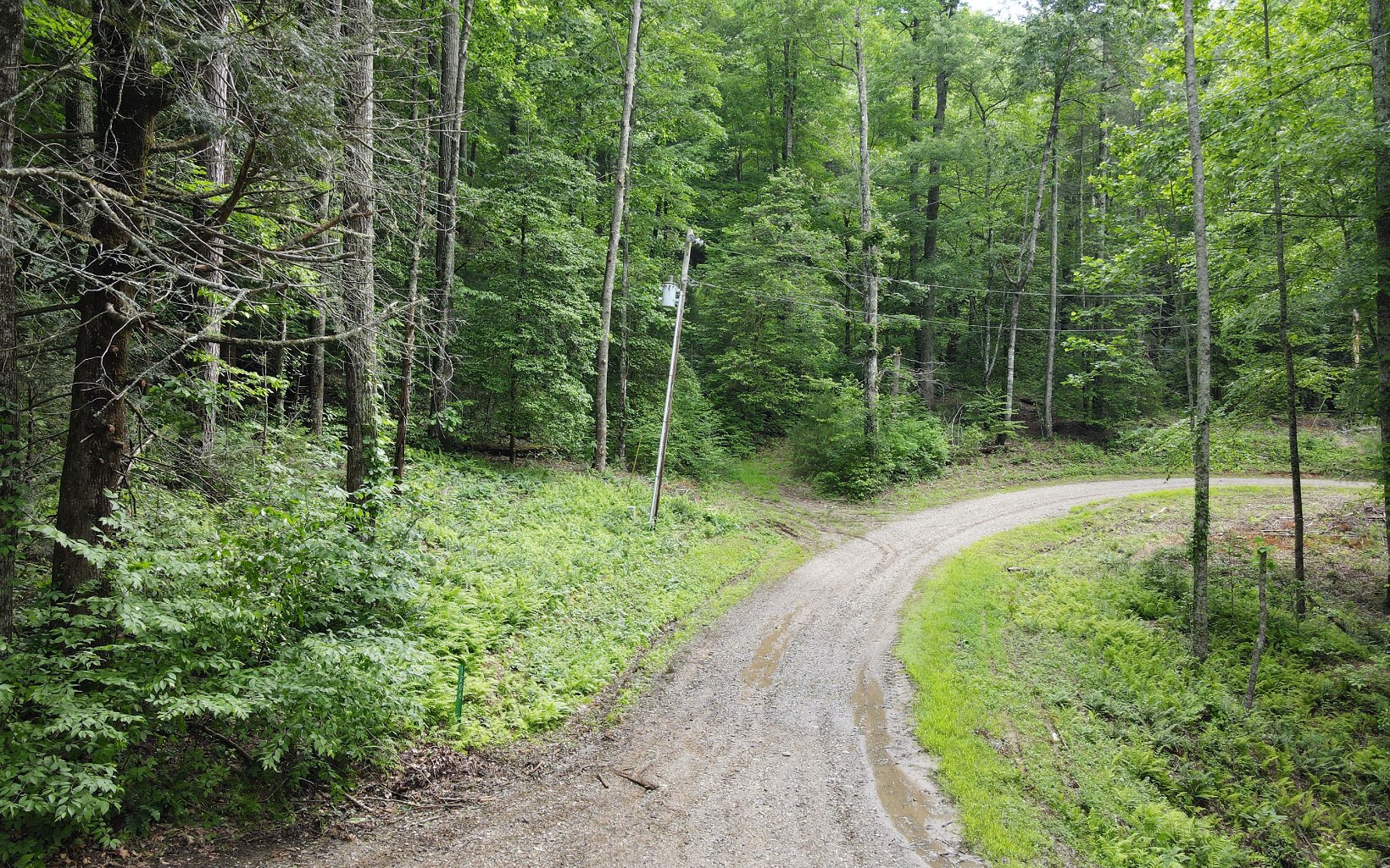 2 Cindy Cove Road Blairsville, GA 30512 - Photo 4 of 20 Additional View