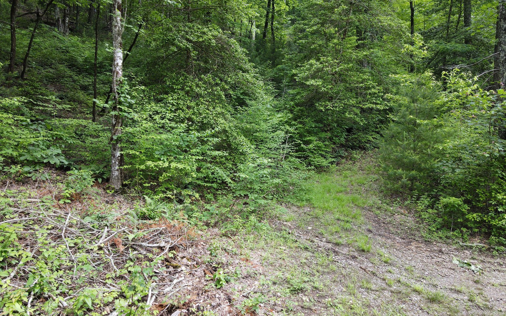 2 Cindy Cove Road Blairsville, GA 30512 - Photo 5 of 20 Additional View