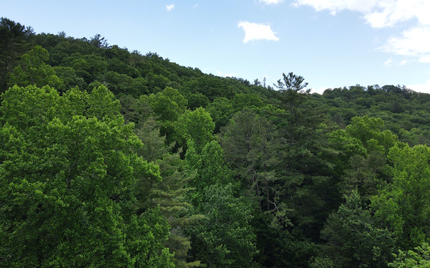 2 Cindy Cove Road Blairsville, GA 30512 - Photo 8 of 20 Additional View