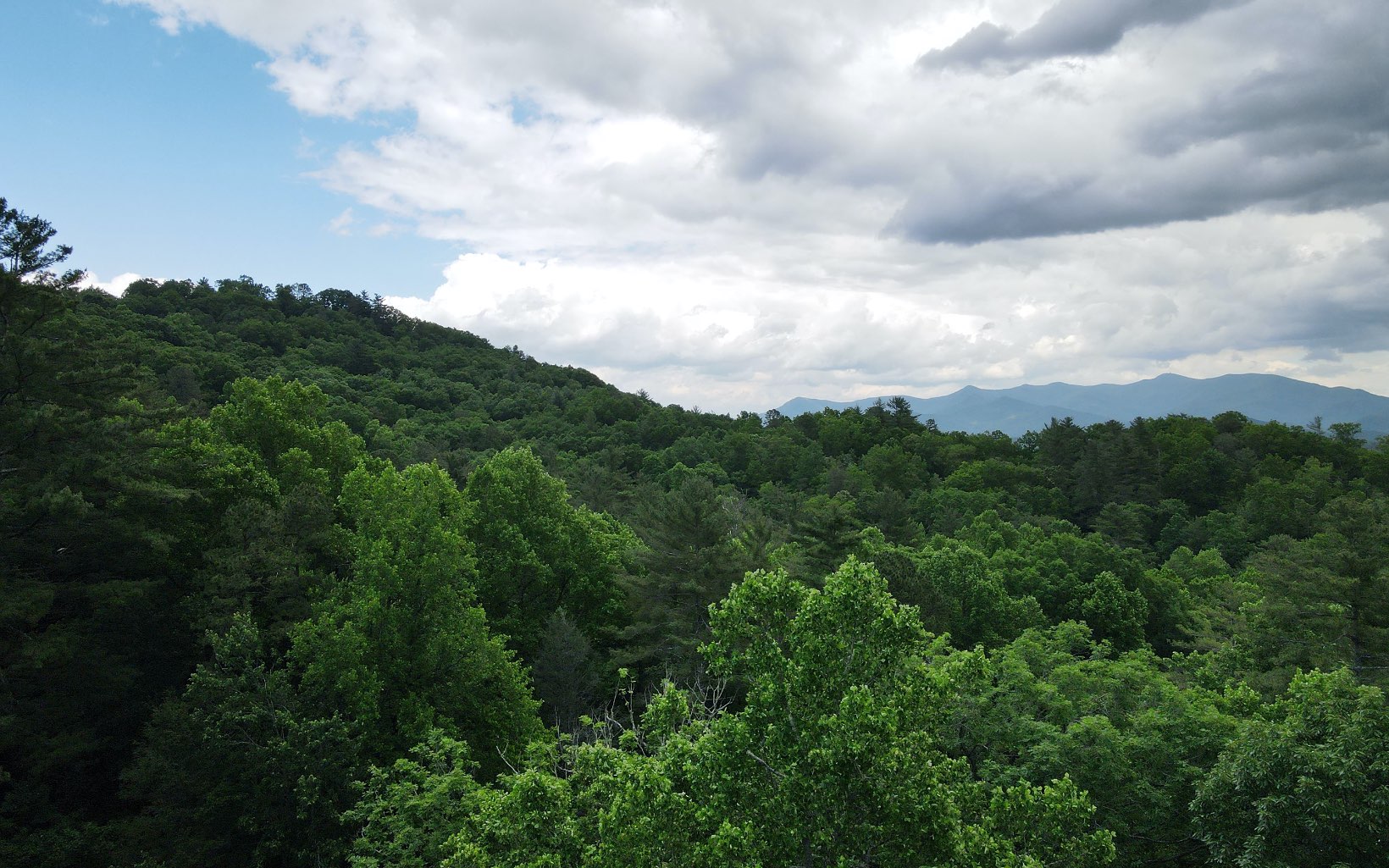 2 Cindy Cove Road Blairsville, GA 30512 - Photo 9 of 20 Additional View