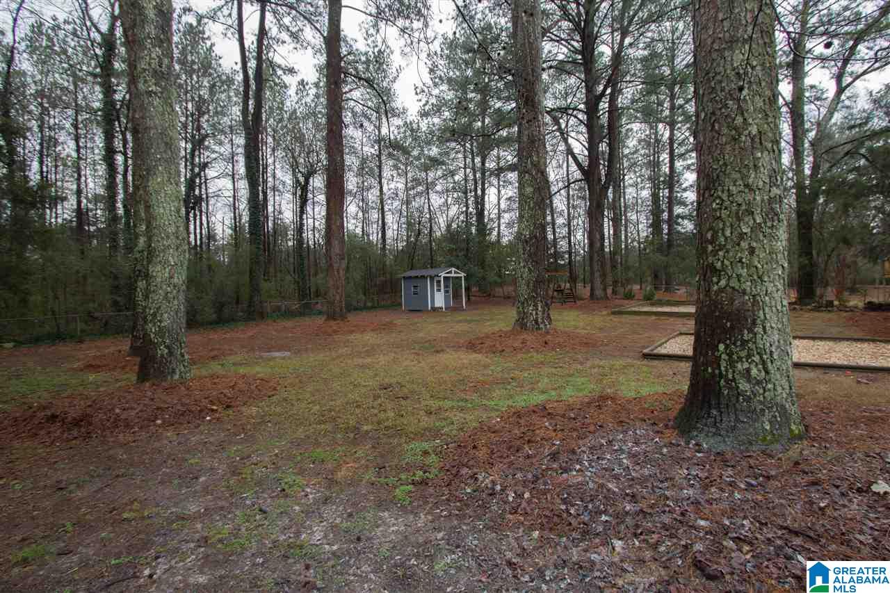 112 Forest Parkway Alabaster, AL 35007 - Photo 48 of 49