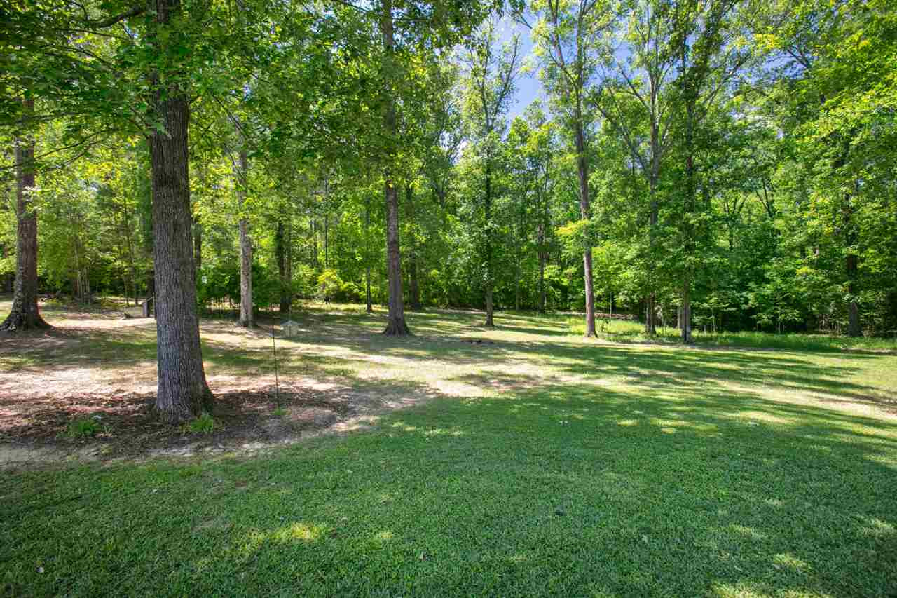 155 Iron Oak Ridge Brandon, MS 39042 - Photo 39 of 50 Photo 39