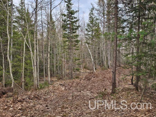 120-acres 120-acres Off Co Road Ishpeming, MI 49849 - Photo 7 of 7