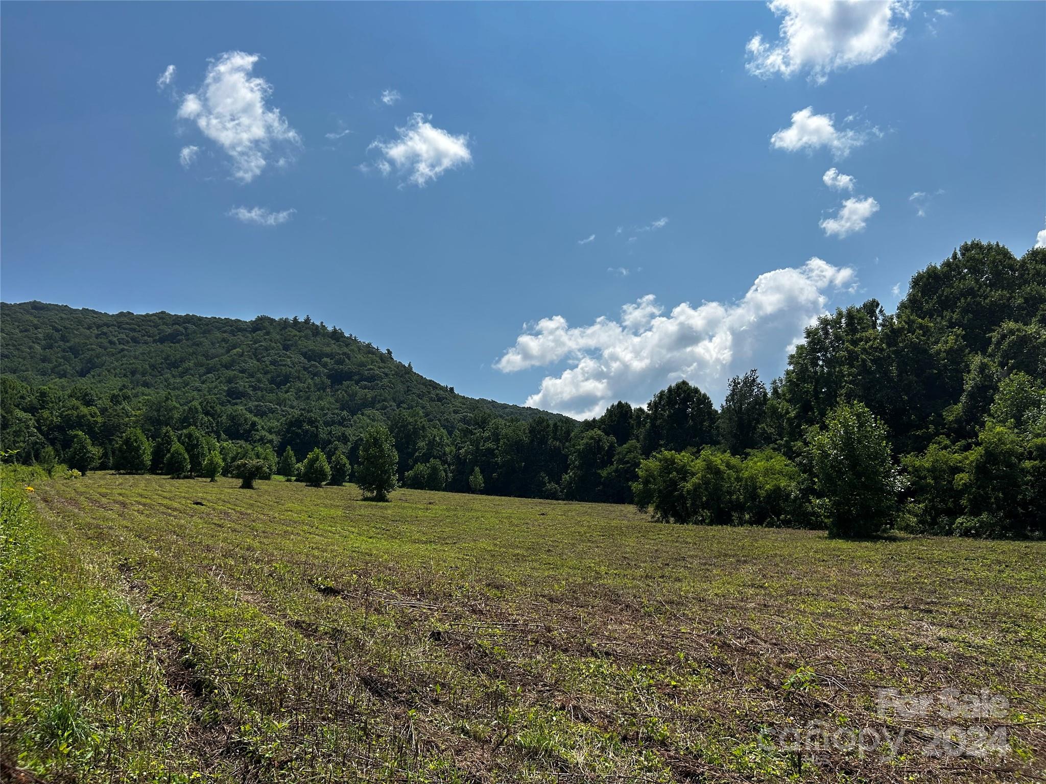 Tbd Tbd Sugar Loaf Mountain Road Marshall, NC 28753 - Photo 2 of 10 a view of a house with a big yard and a large tree