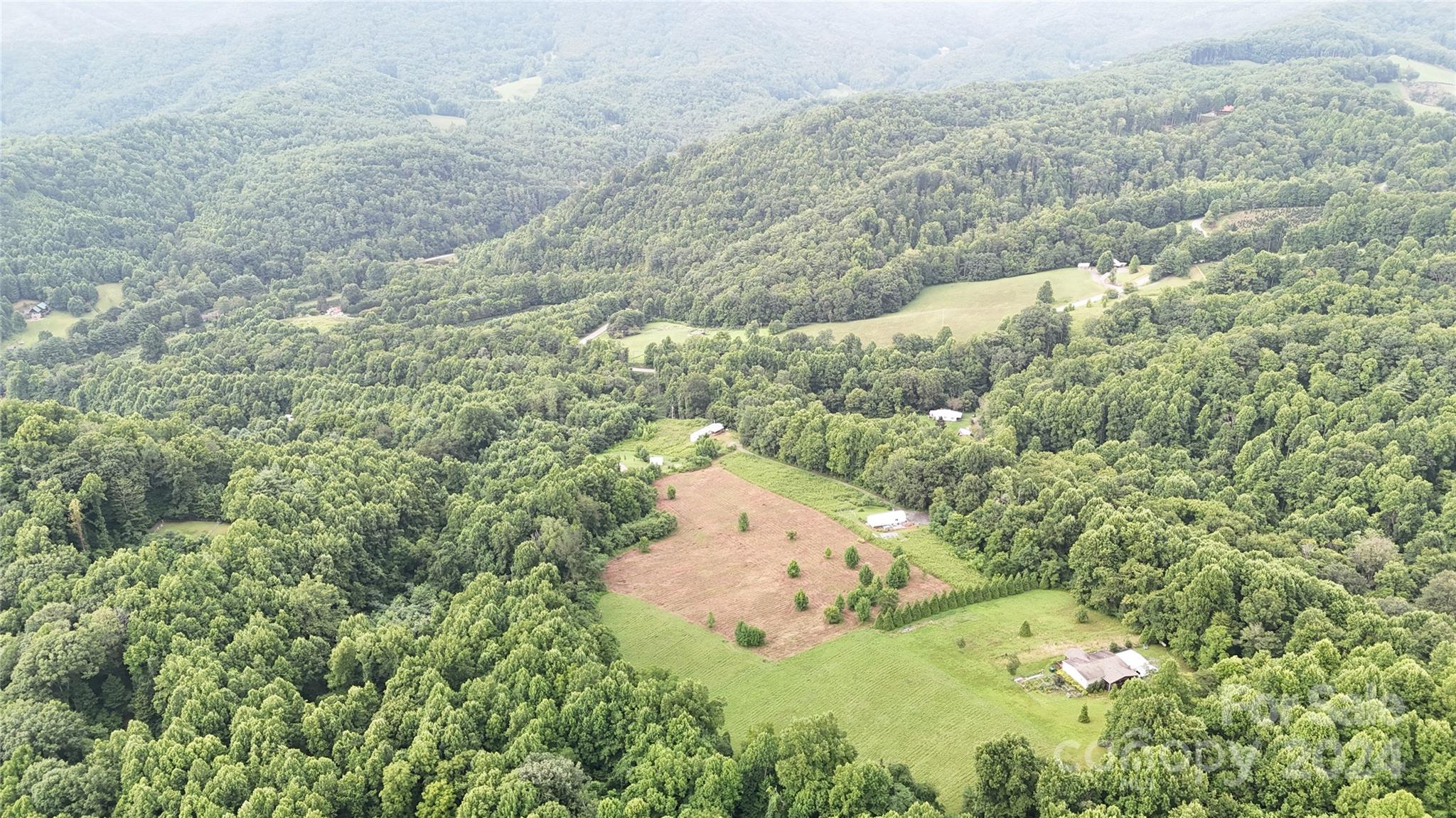 Tbd Tbd Sugar Loaf Mountain Road Marshall, NC 28753 - Photo 4 of 10 a view of a yard
