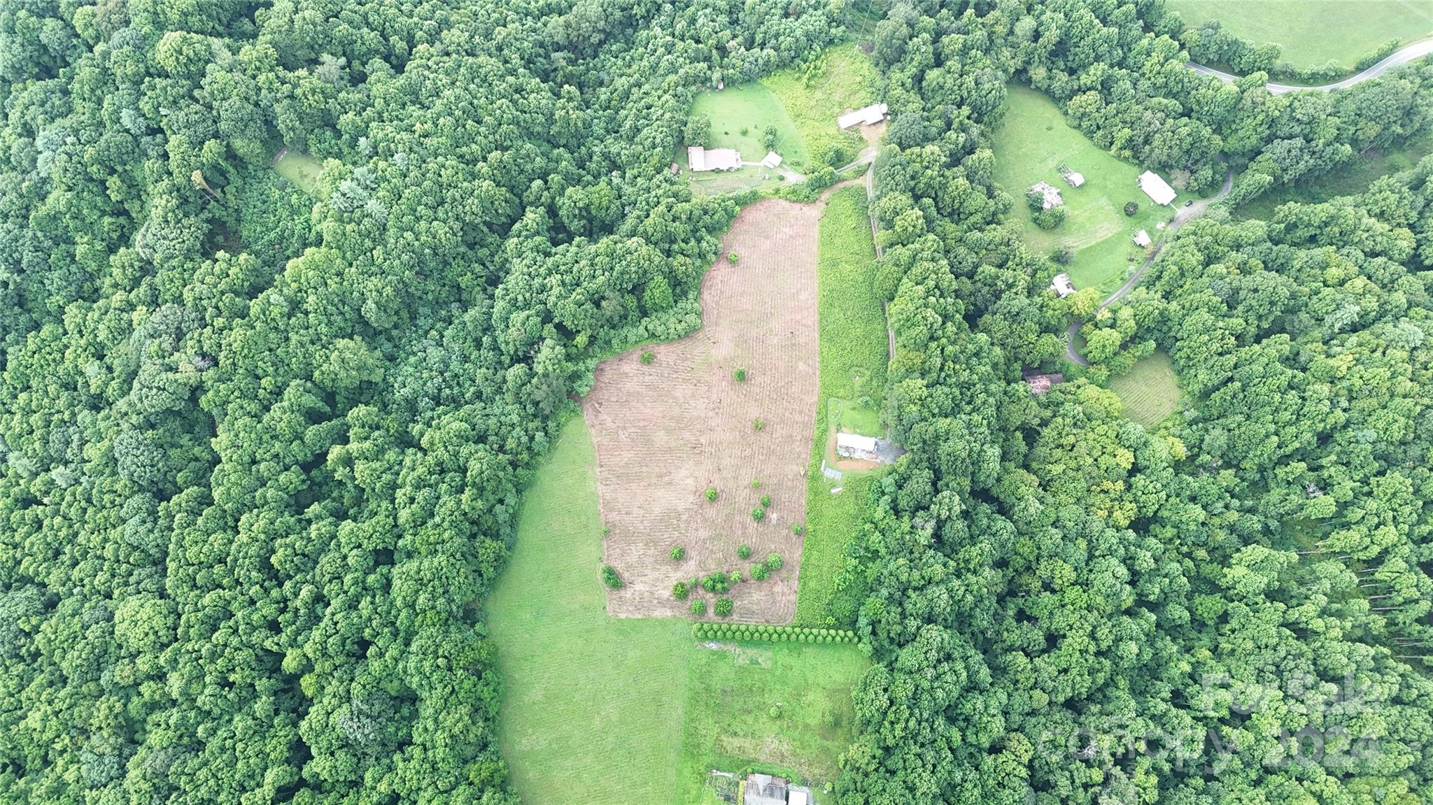 Tbd Tbd Sugar Loaf Mountain Road Marshall, NC 28753 - Photo 5 of 10 a view of a yard with plants