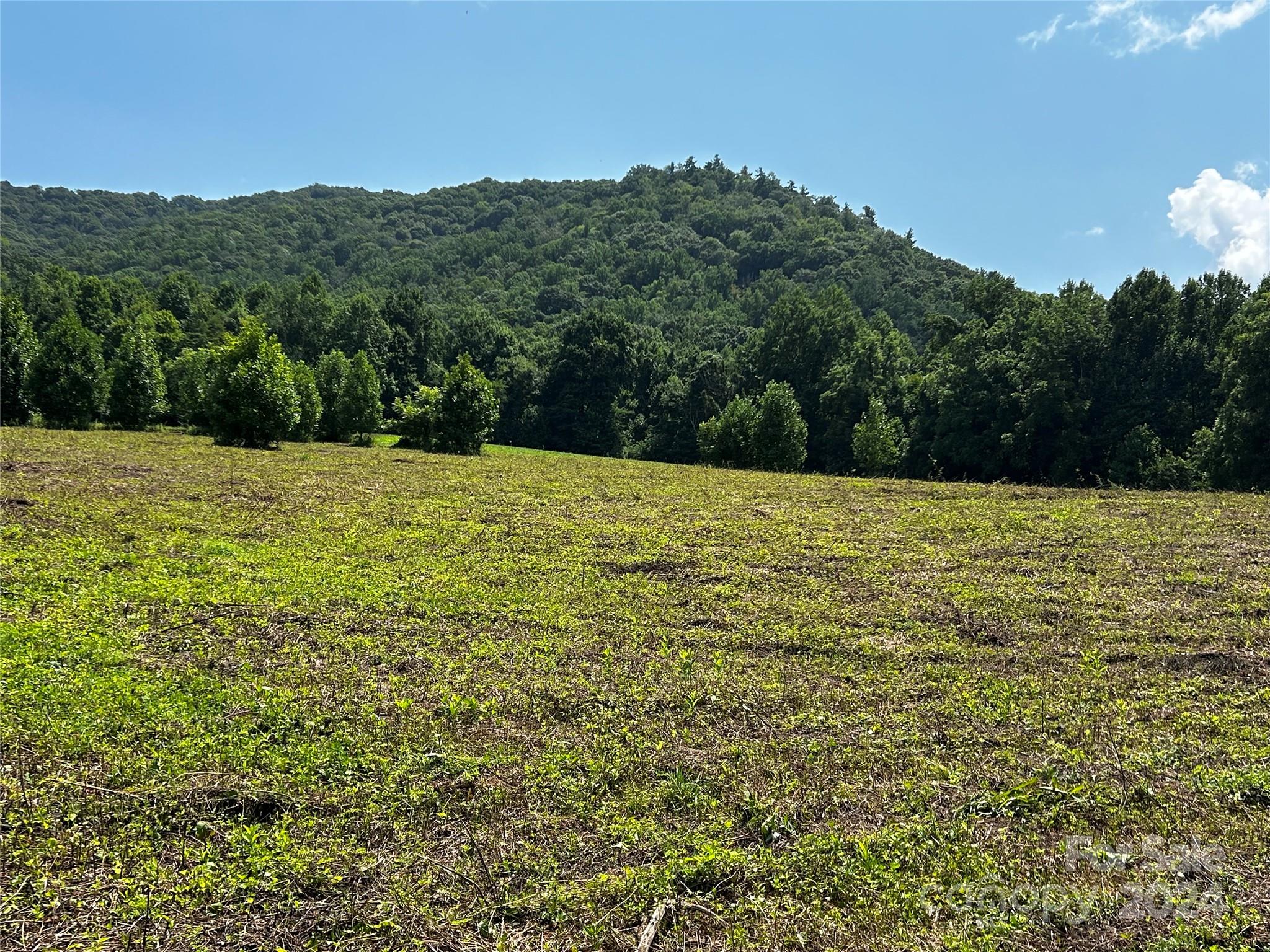 Tbd Tbd Sugar Loaf Mountain Road Marshall, NC 28753 - Photo 6 of 10 a view of an outdoor space and a yard