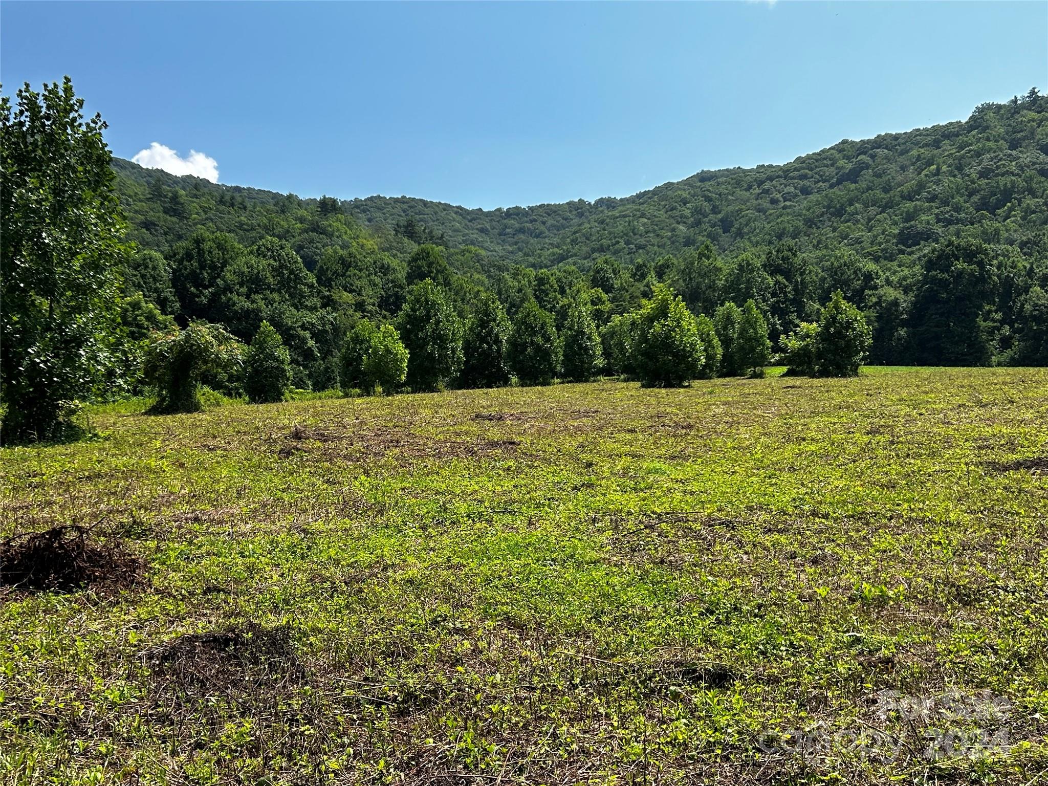 Tbd Tbd Sugar Loaf Mountain Road Marshall, NC 28753 - Photo 7 of 10 a view of an outdoor space and a yard