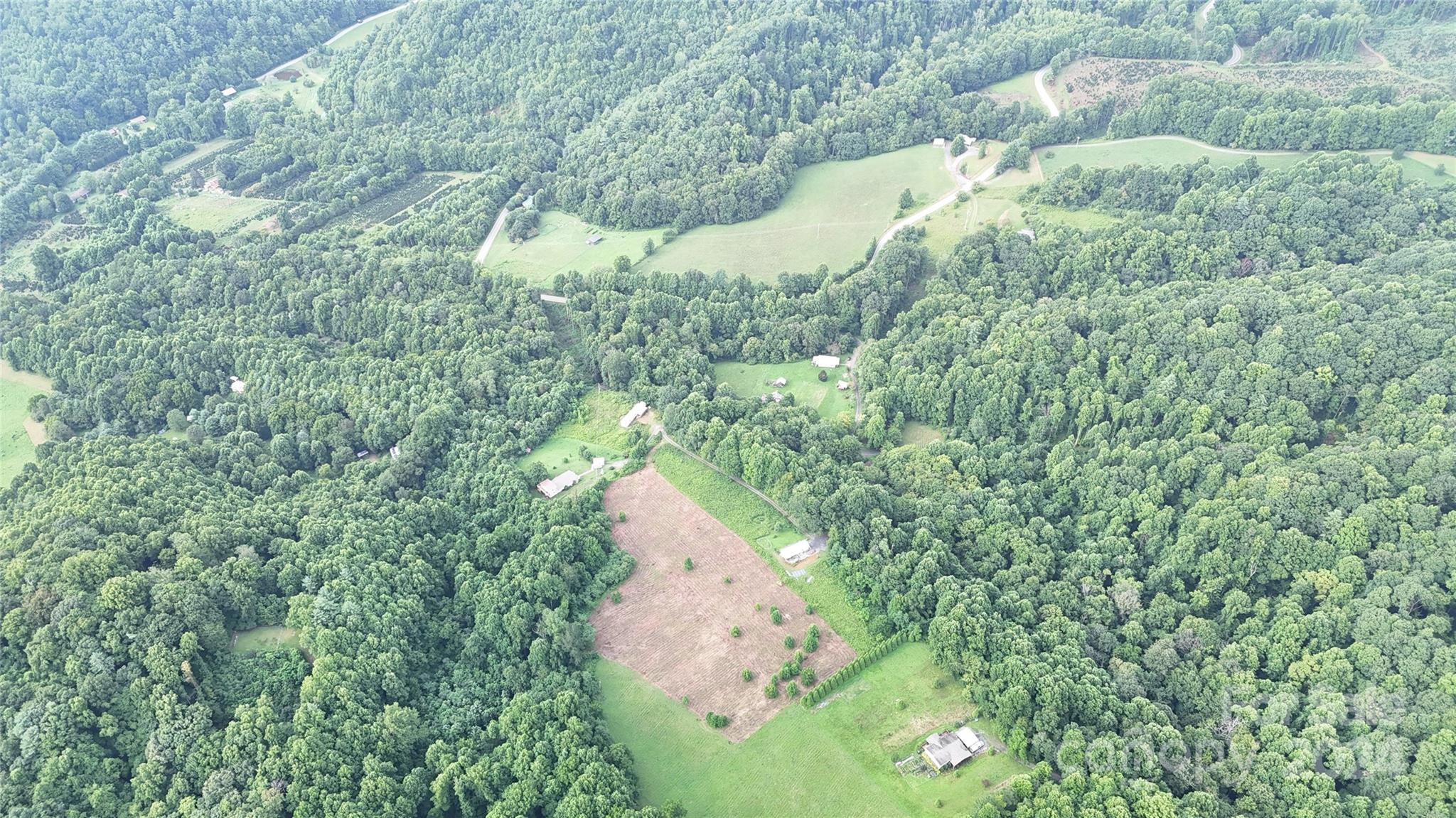 Tbd Tbd Sugar Loaf Mountain Road Marshall, NC 28753 - Photo 8 of 10 a view of a yard with a tree