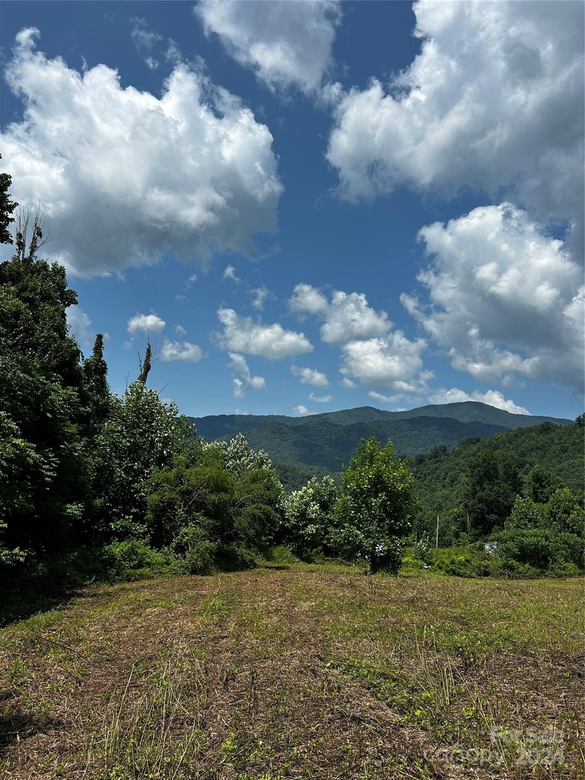Tbd Tbd Sugar Loaf Mountain Road Marshall, NC 28753 - Photo 10 of 10 a view of a big yard with plants and large trees