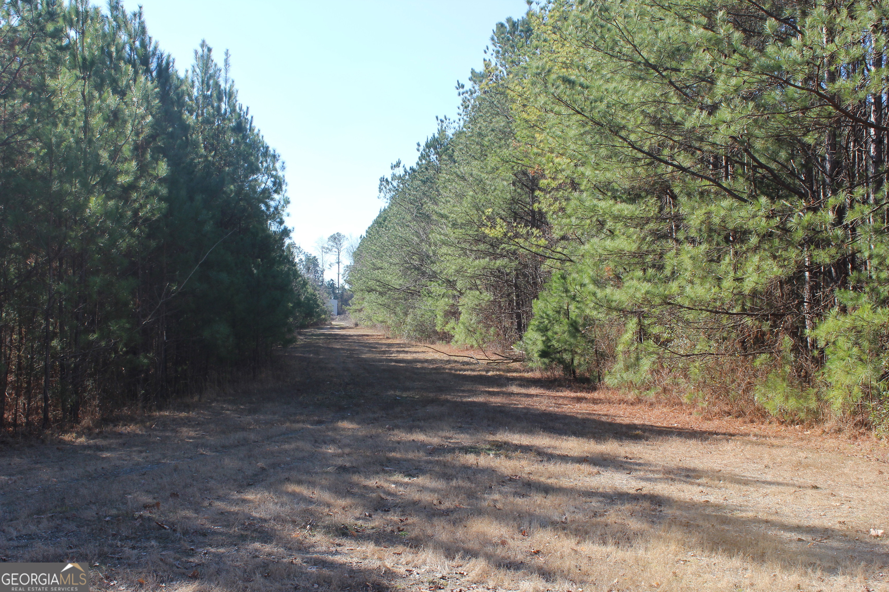 0 Hix Road Kellyton, AL 35089 - Photo 3 of 11 a view of a yard with a trees