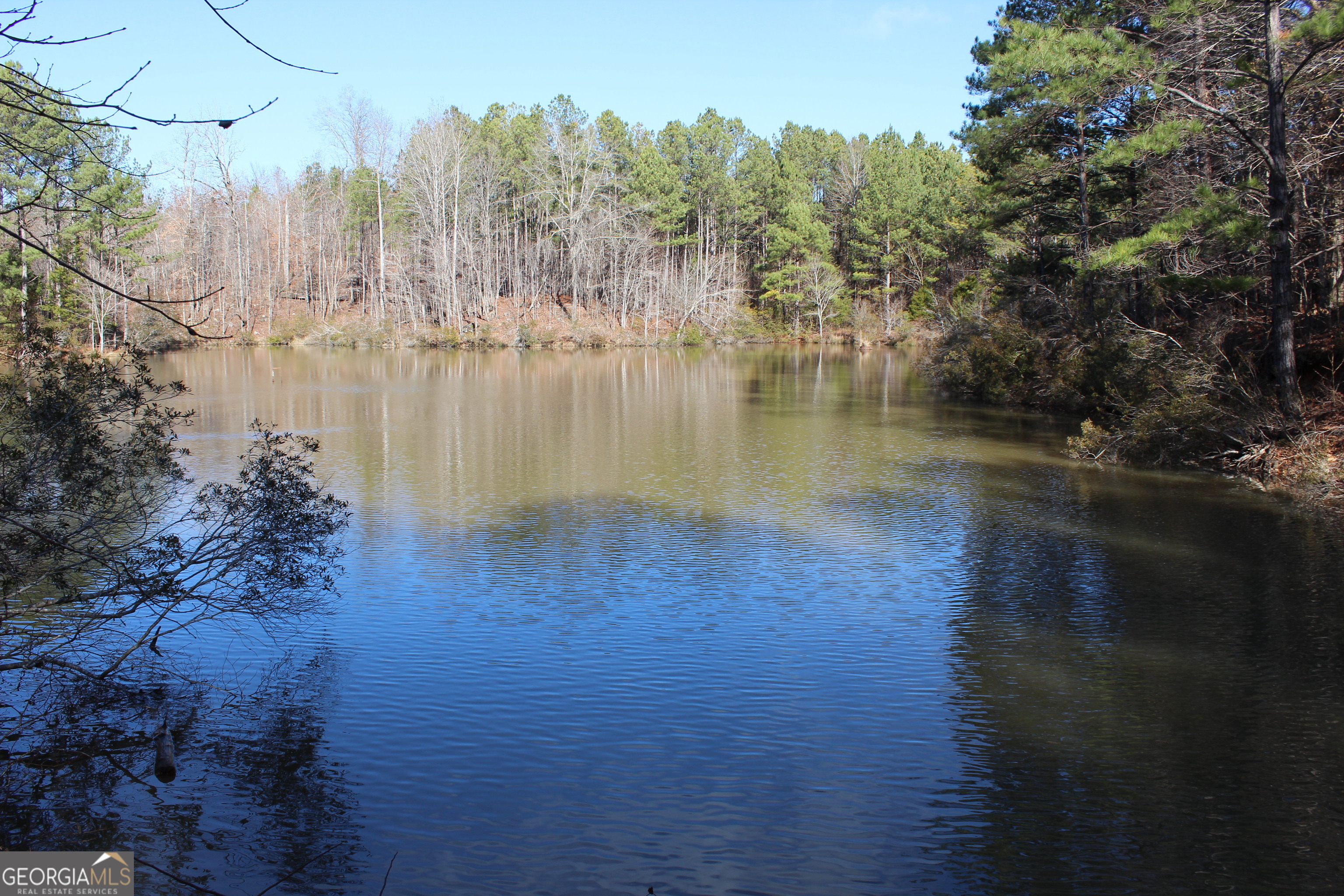 0 Hix Road Kellyton, AL 35089 - Photo 4 of 11 a view of lake with green space