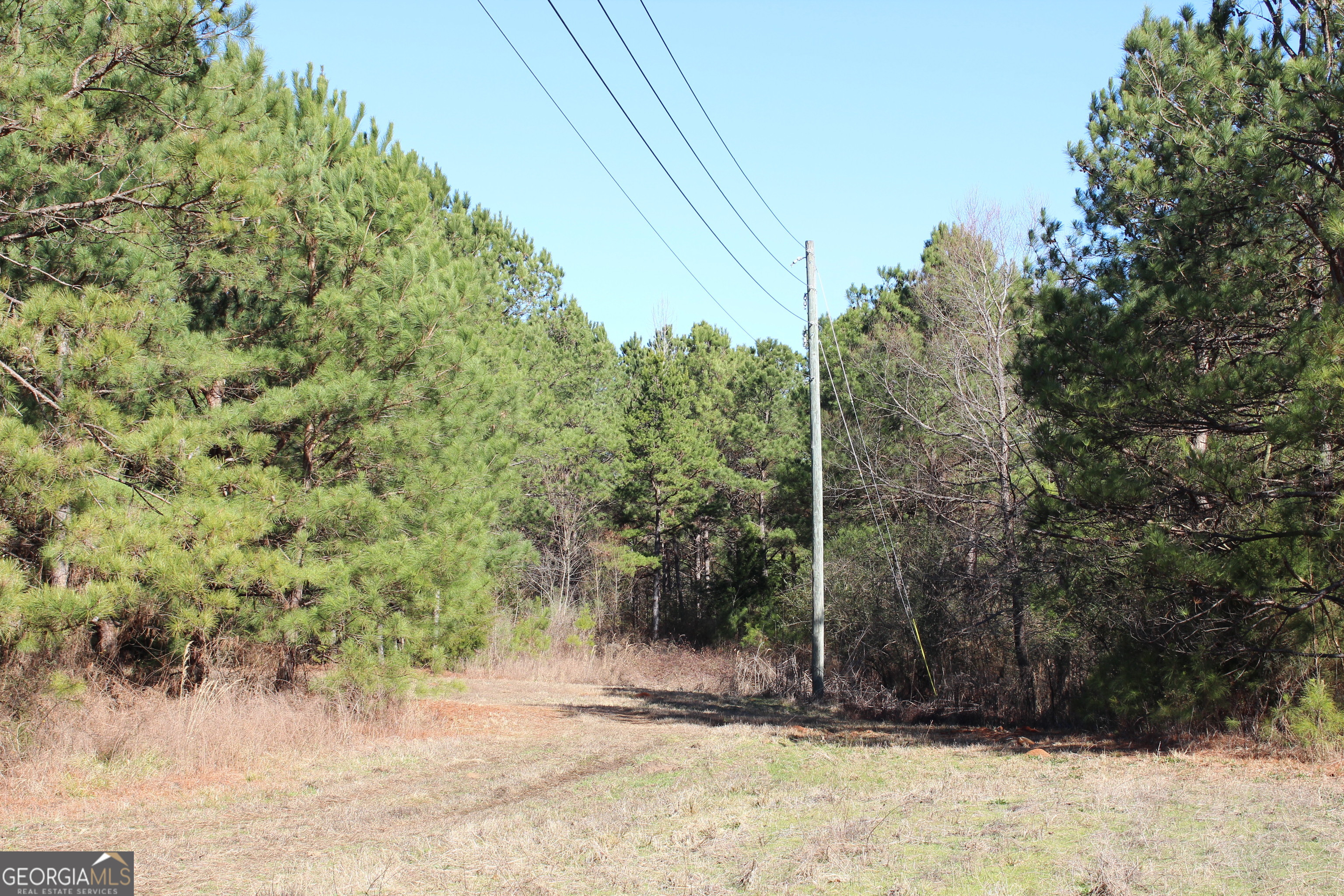 0 Hix Road Kellyton, AL 35089 - Photo 7 of 11 a view of a pathway of a yard