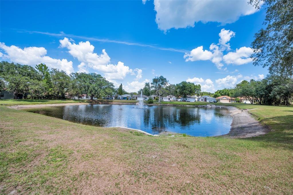 7745 Barclay Road New Port Richey, FL 34654 - Photo 41 of 58 Gallery Image 41
