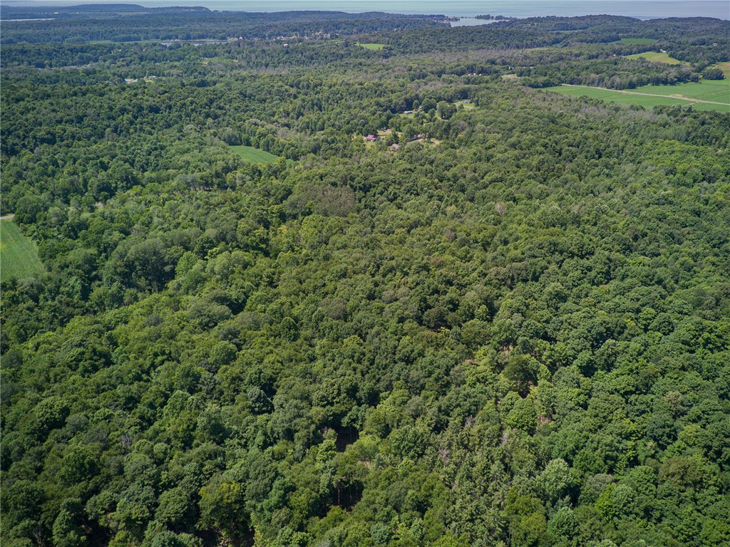 7620 Wadsworth Street Road Wolcott, NY 14590 - Photo 3 of 5 50.76 acres of your own land!