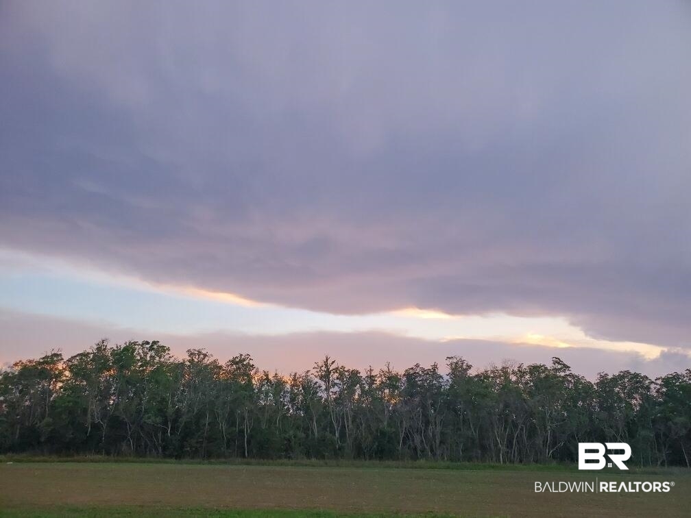 16000 John Bauer Road Summerdale, AL 36580 - Photo 31 of 34 Nature at dusk featuring a wooded view