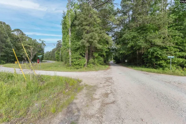 $25,000 | Tbd St Peters Church Road, Chapin, SC 29036