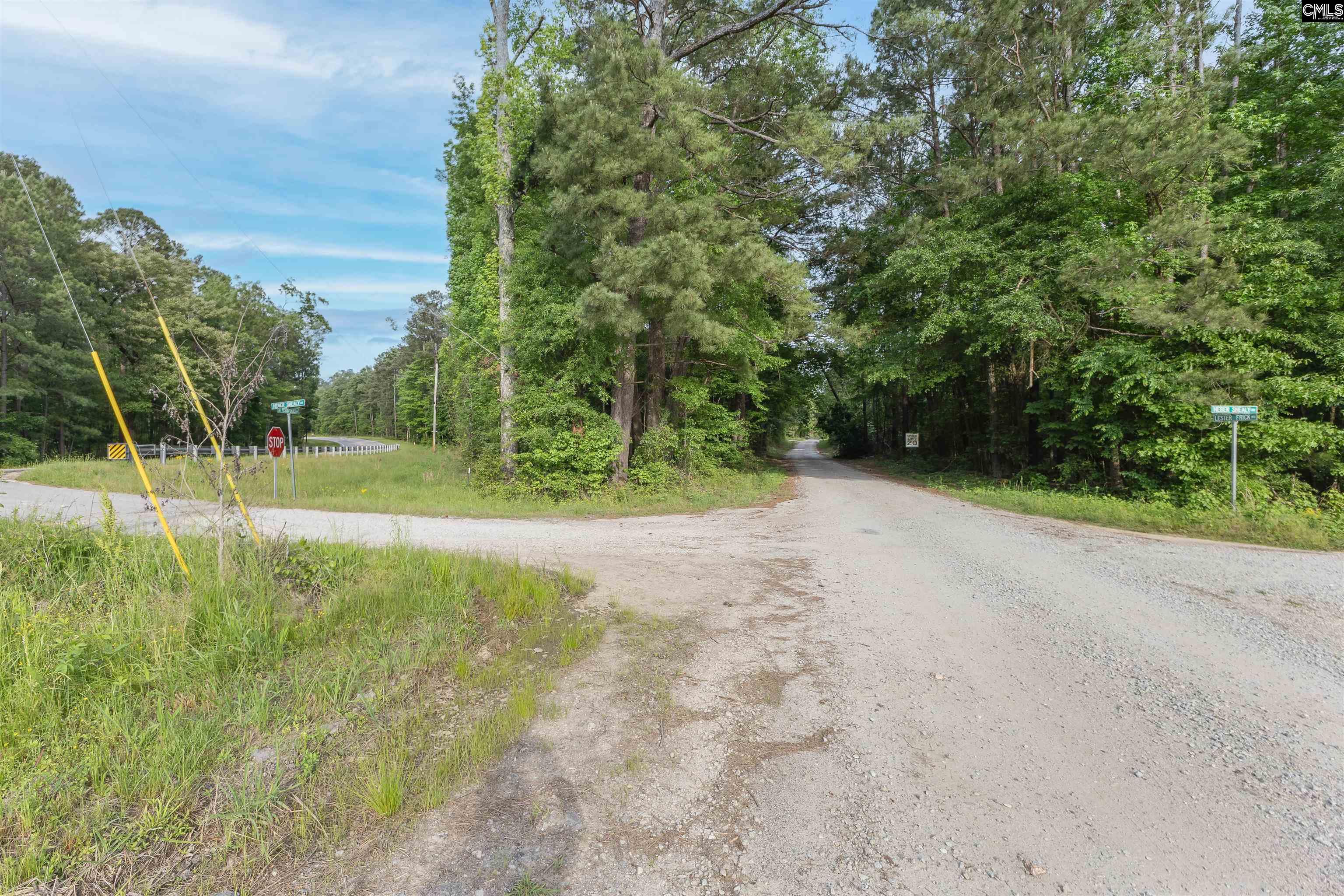 Tbd St Peters Church Road Chapin, SC 29036 - Photo 1 of 7