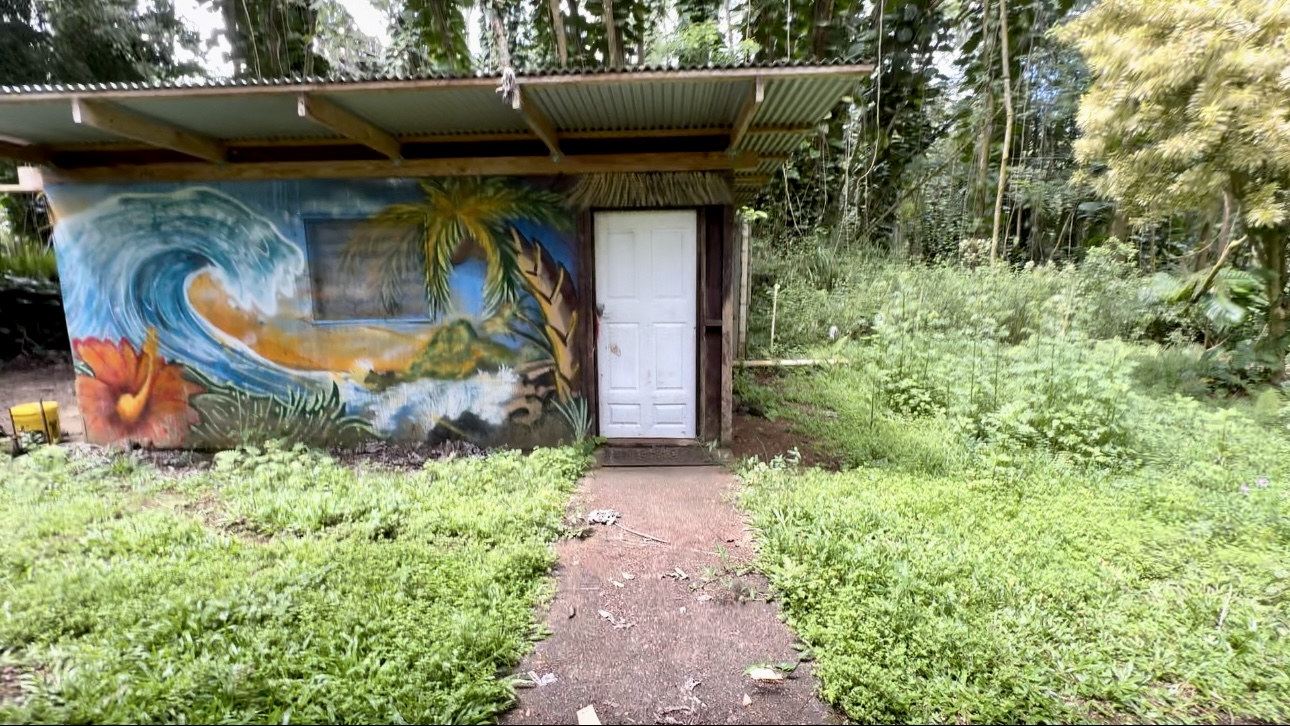 14-624 Flower Road Pahoa, HI 96778 - Photo 21 of 23 Gallery Image 21