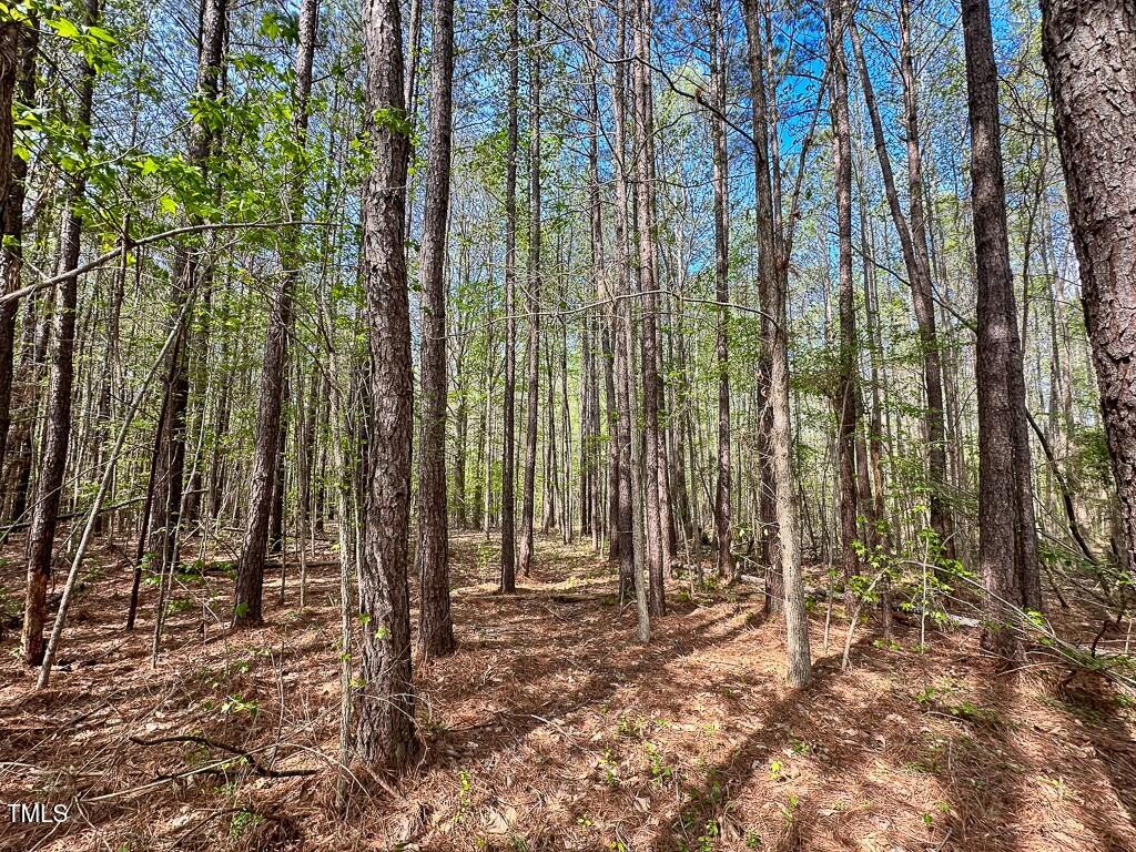 0 Rifle Range Road Warrenton, NC 27589 - Photo 17 of 38 tempImage8oifUn