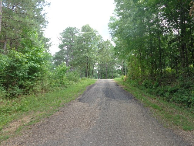 0 Broome Road Wesson, MS 39191 - Photo 3 of 4 Photo 3