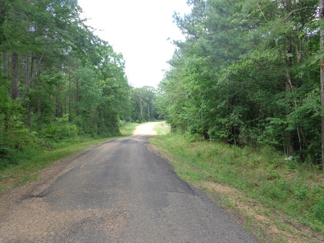 0 Broome Road Wesson, MS 39191 - Photo 4 of 4 Photo 4