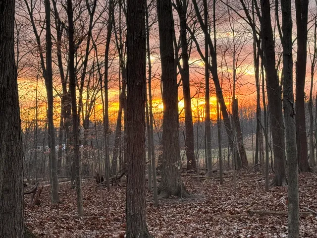 $650,000 | 6629 West East Road, Three Oaks, MI 49128