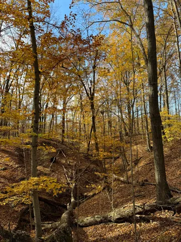 $650,000 | 6629 West East Road, Three Oaks, MI 49128