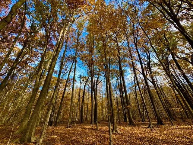 $650,000 | 6629 West East Road, Three Oaks, MI 49128