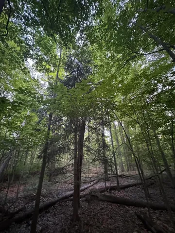 $650,000 | 6629 West East Road, Three Oaks, MI 49128