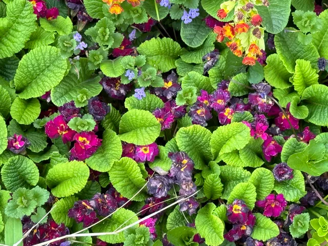 $650,000 | 6629 West East Road, Three Oaks, MI 49128