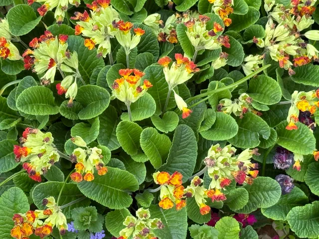 $650,000 | 6629 West East Road, Three Oaks, MI 49128