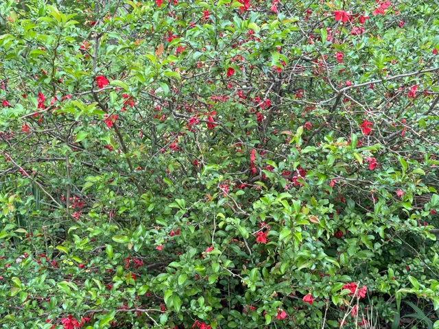 $650,000 | 6629 West East Road, Three Oaks, MI 49128