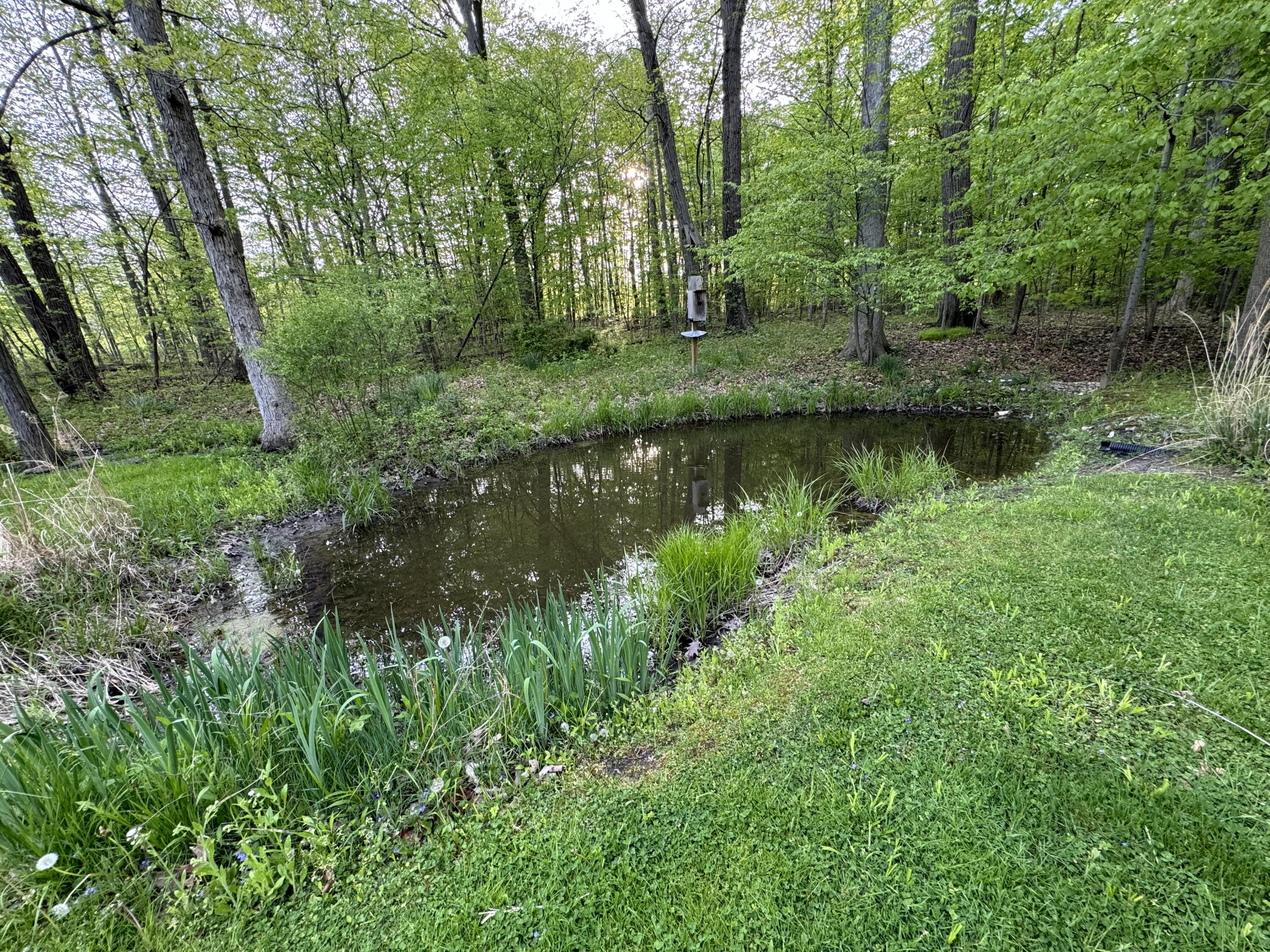 6629 West East Road Three Oaks, MI 49128 - Photo 39 of 44 IMG_4466