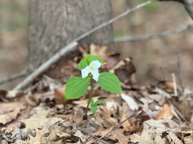 $650,000 | 6629 West East Road, Three Oaks, MI 49128