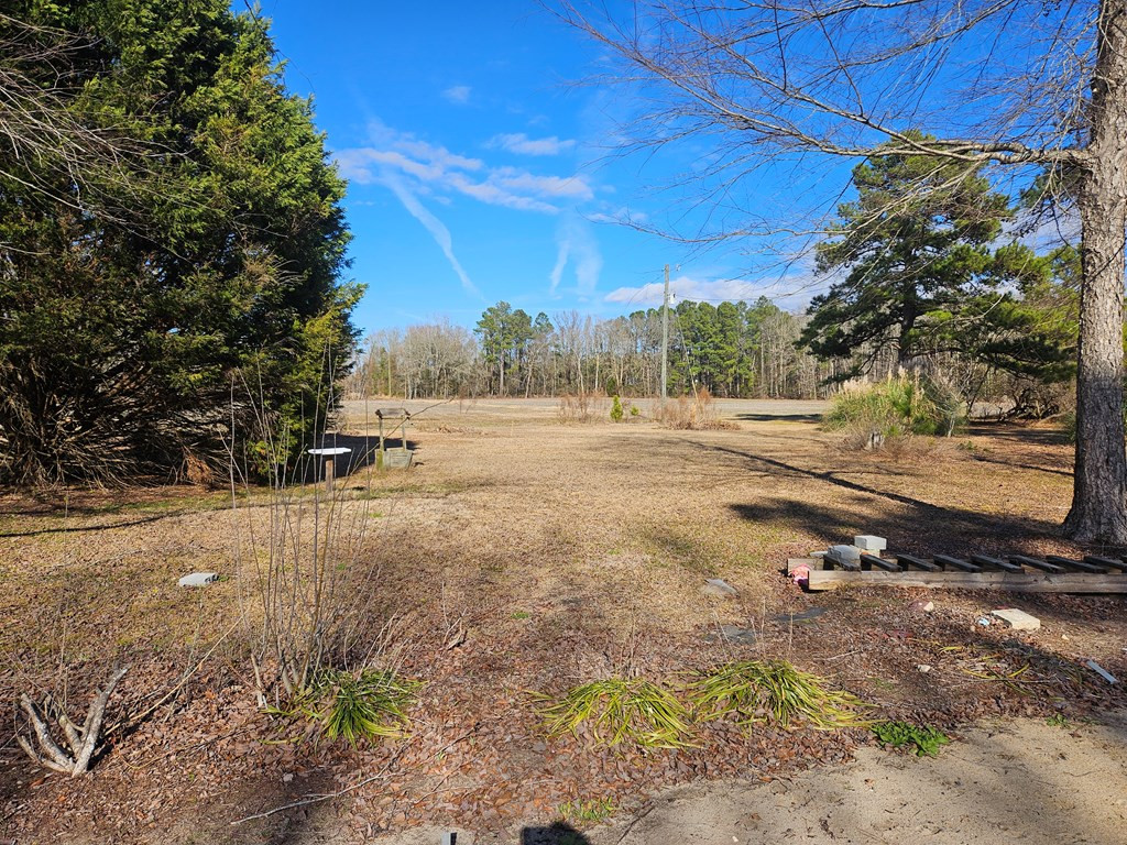 2570 Old Creek Road Scranton, SC 29591 - Photo 3 of 5