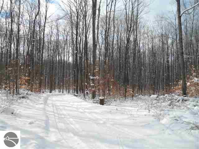 5125 Johnson Road Kingsley, MI 49649 - Photo 10 of 27 1742110-9.JPG
