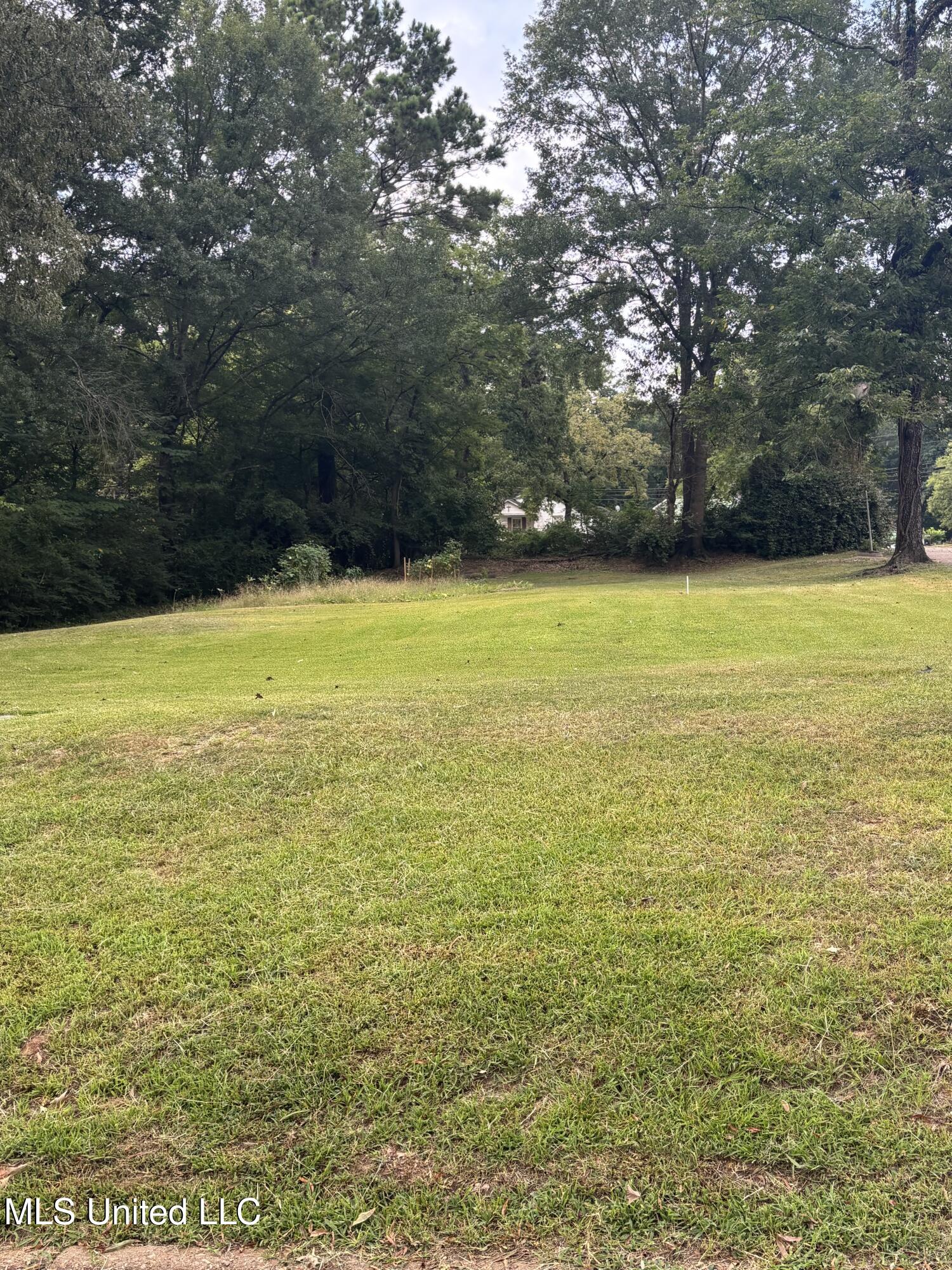 400 Alabama Street New Albany, MS 38652 - Photo 3 of 9 IMG_1424